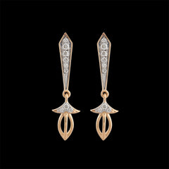 Tadeonal Earrings